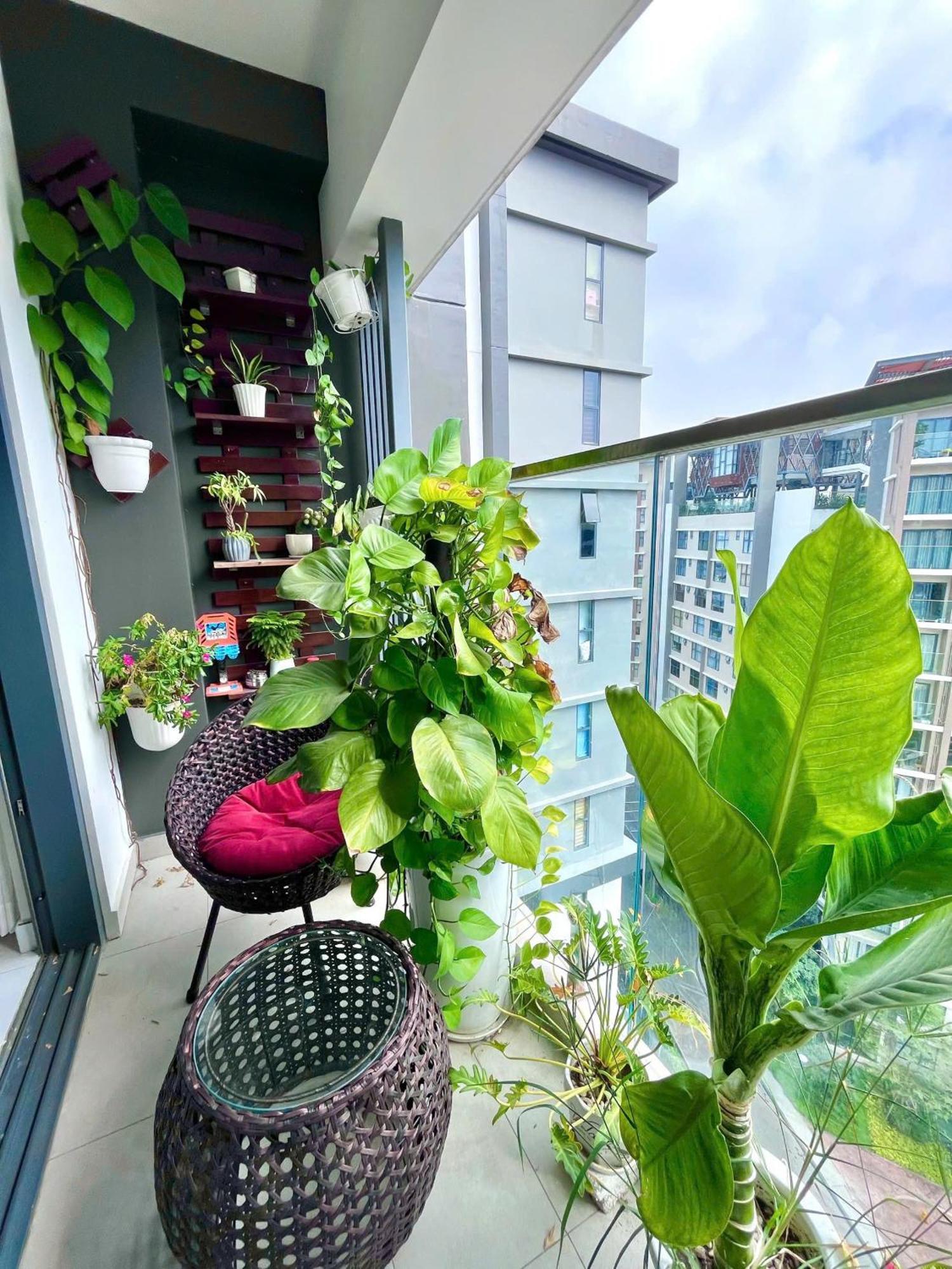 Apartment Ho Diamond Alnata Aeon Mall Tan Phu Ho Chi Minh City