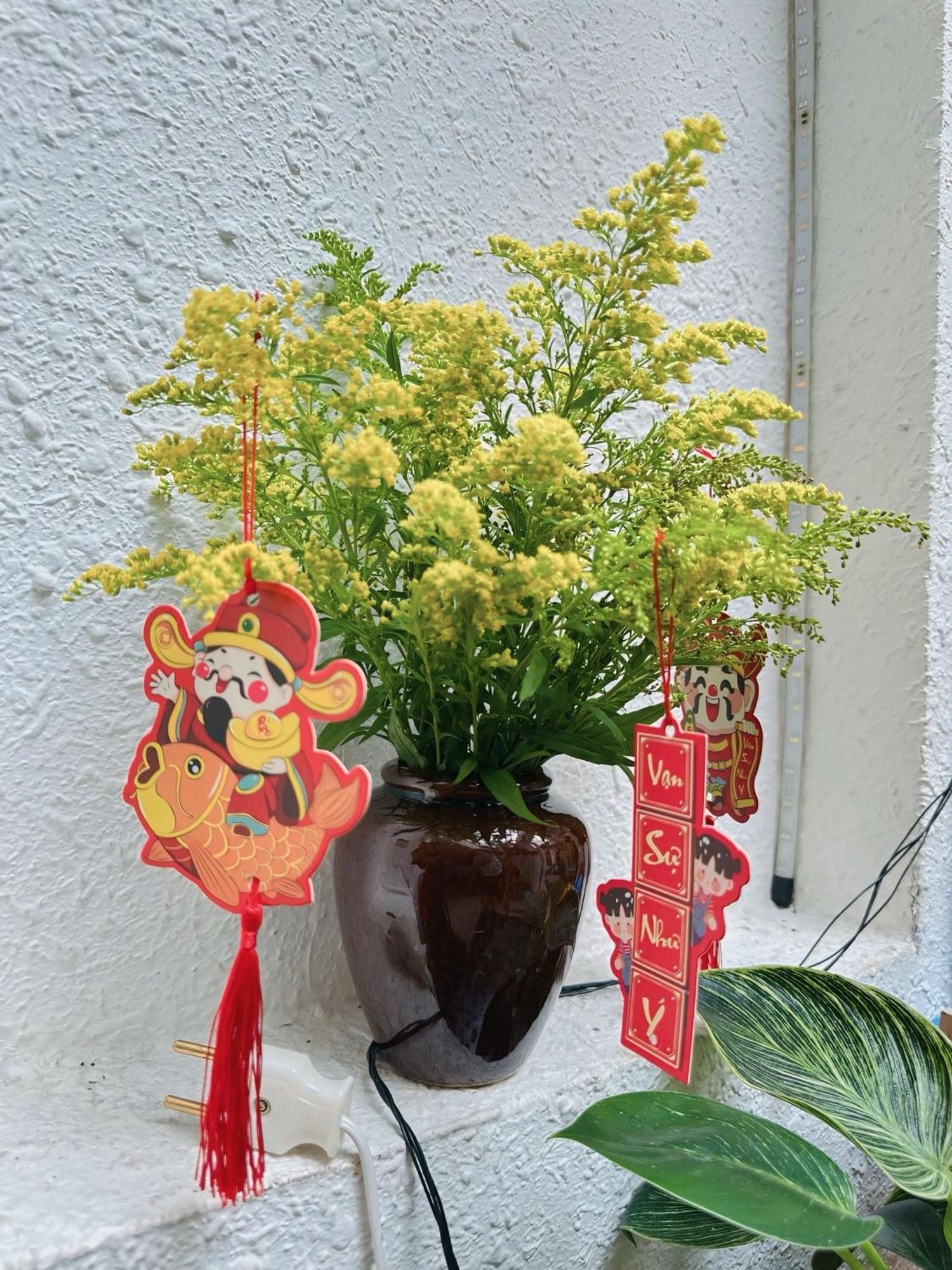Little Garden Asrama Bandar Ho Chi Minh