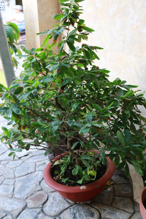 Nhà trọ Tia Nắng Hồng - Pink Sunbeam TP. Hồ Chí Minh