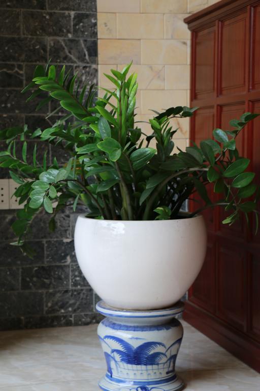 Tia Nắng Hồng - Pink Sunbeam Nhà trọ