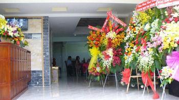 Tia Nắng Hồng - Pink Sunbeam * TP. Hồ Chí Minh