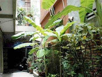 Banana Leaf