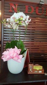N Dung Hotel 3*