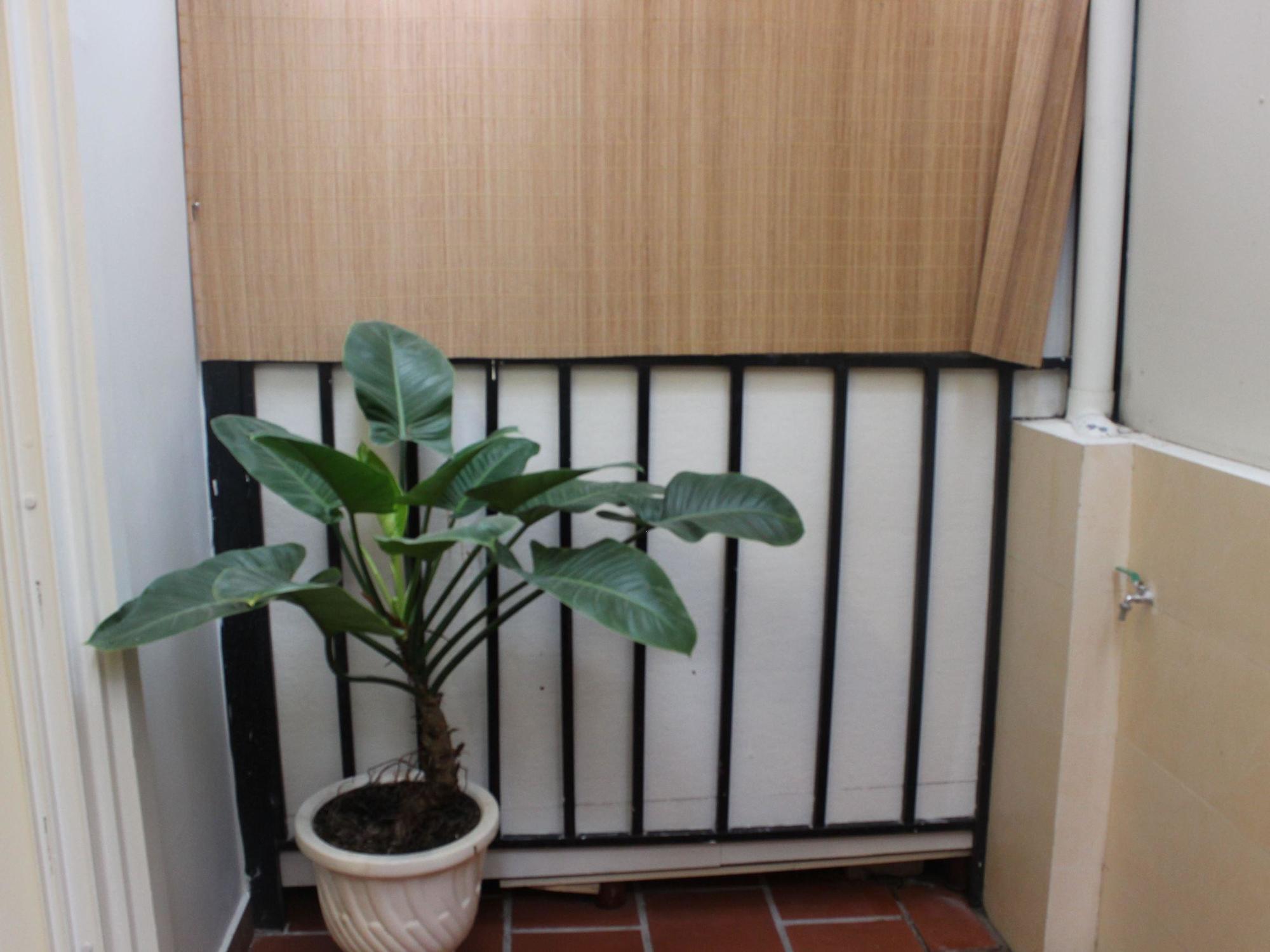 Hotel La Palma - Garden Saigon Phu My Hung