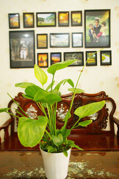 Hotel Vy Binh Ho Chi Minh City