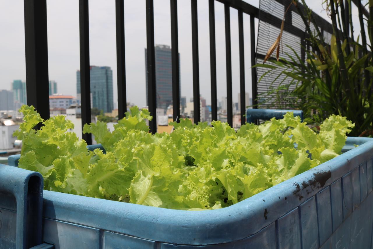 Eco Backpackers Hostel Ho Chi Minh City