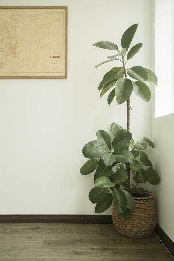 Nap Saigon Hostel Ho Chi Minh City
