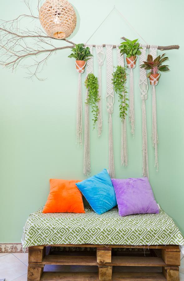 Hostel Tropical Vibes *