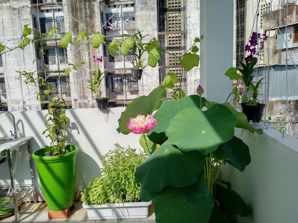 Hostel La Saigon