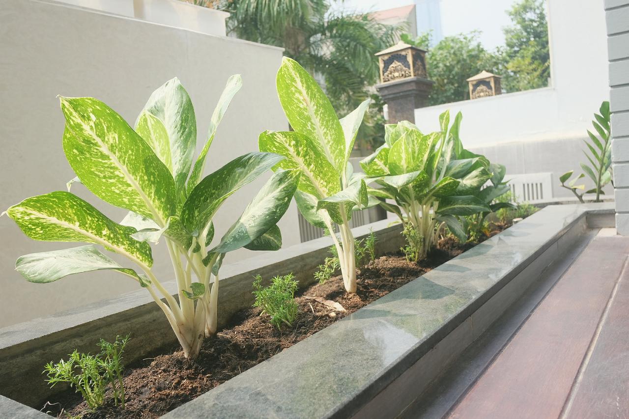 Greenwood Saigon Villa Ho Chi Minh City