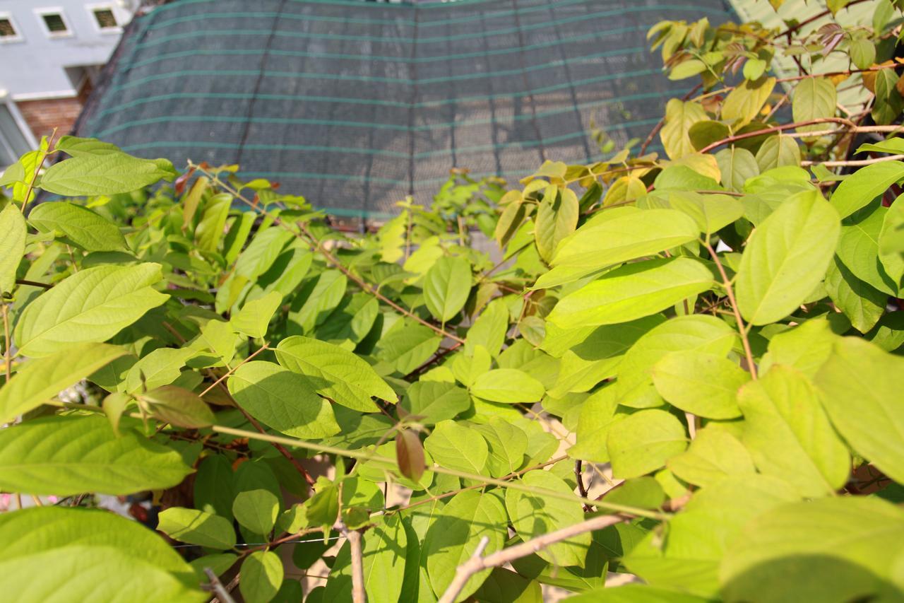 Ngoc Minh Hotel Ho Chi Minh City