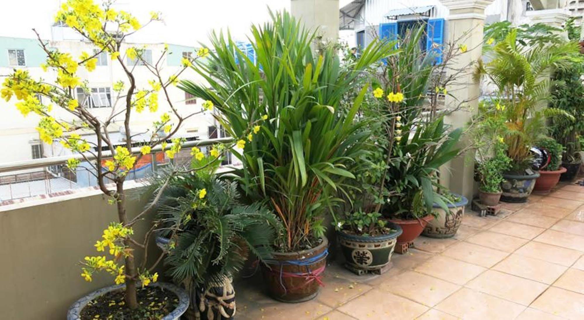 Hotel Banana Leaf 2*