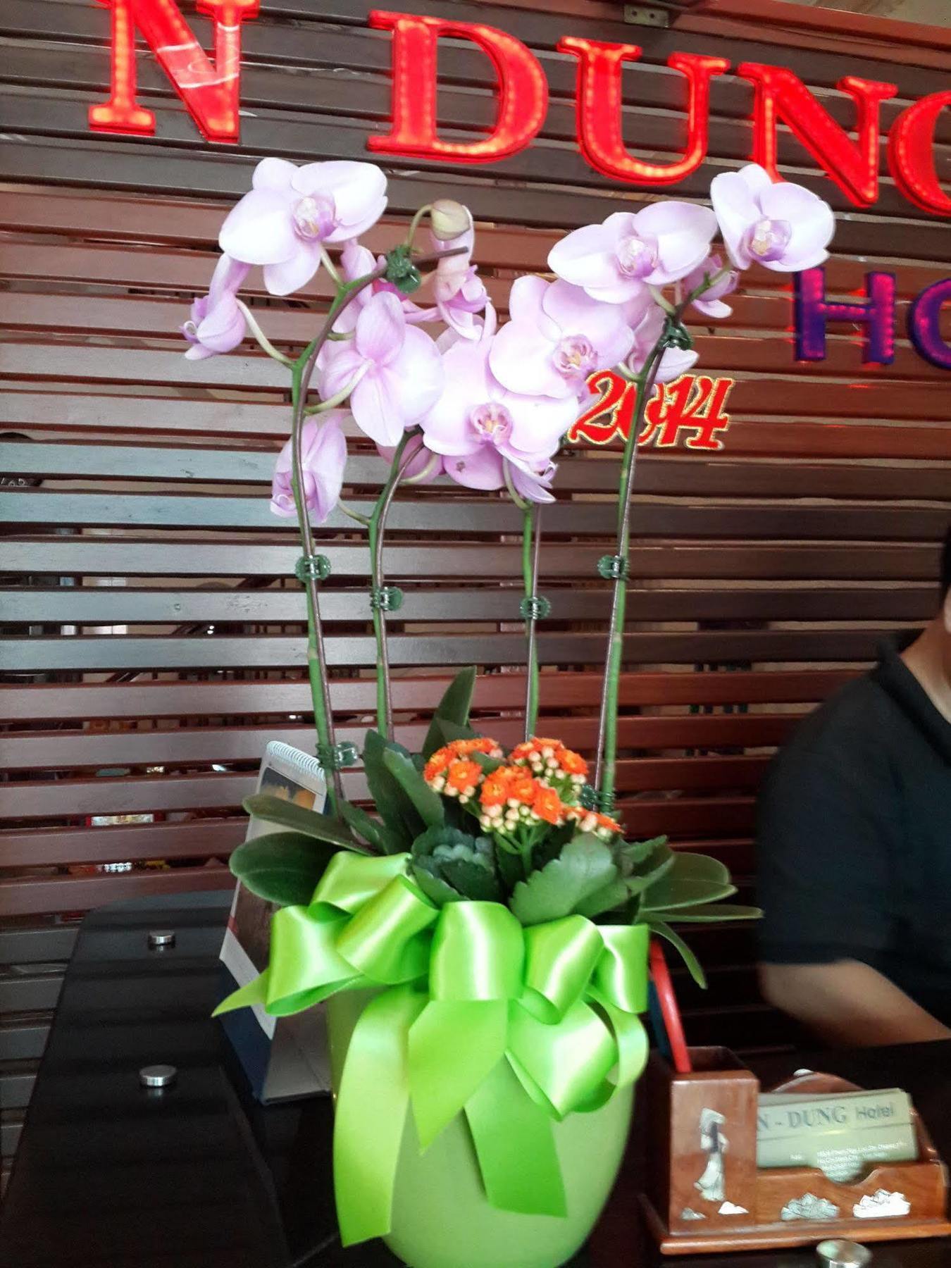 N Dung Hotel