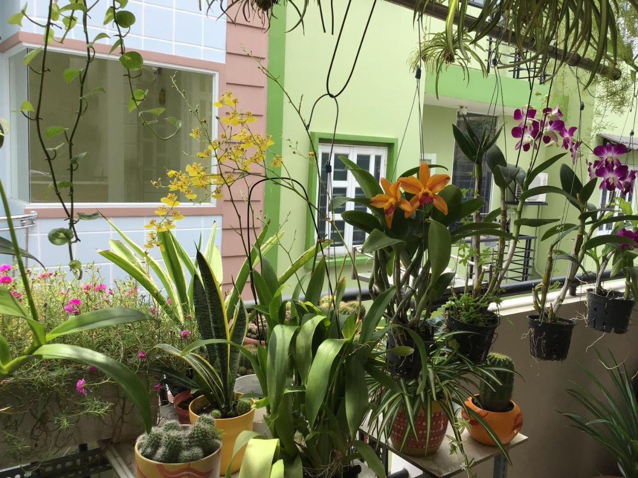 Grandma's Orchid Homestay Ho Chi Minh City