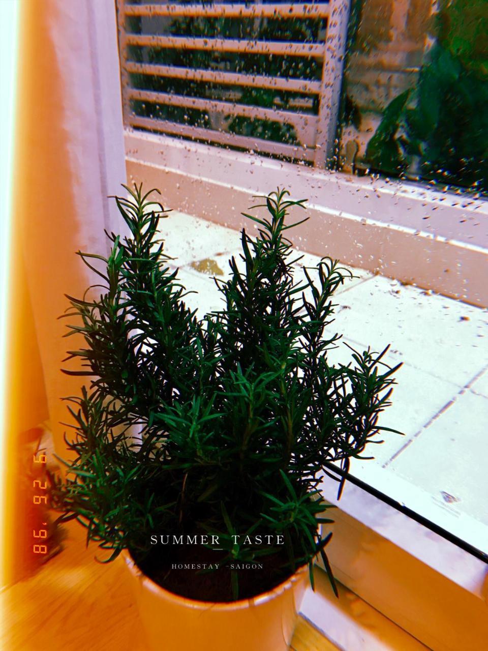 Summer Taste Homestay Homestay