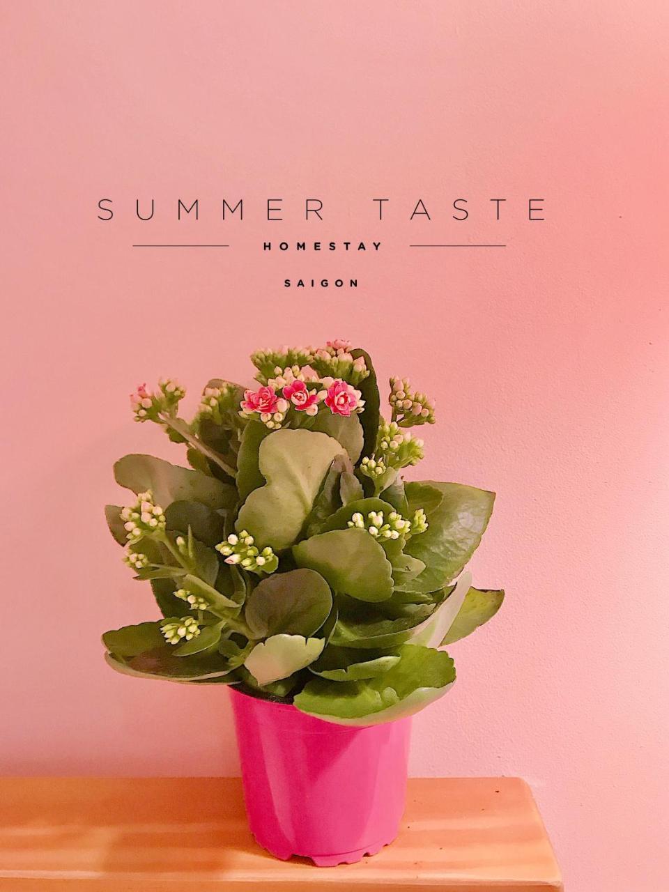 Summer Taste Homestay Homestay Ho Chi Minh City