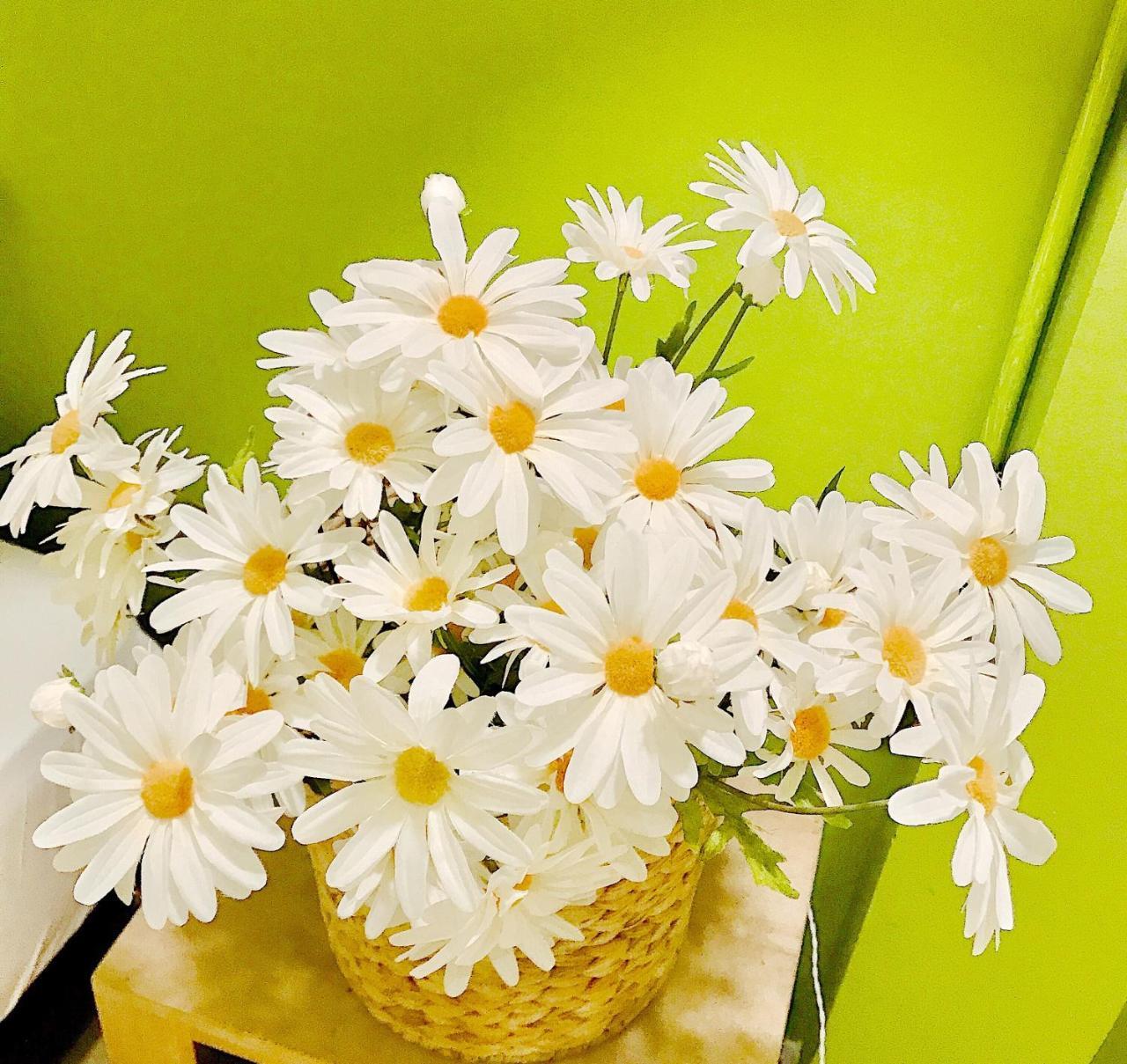 Summer Taste Homestay Ho Chi Minh City