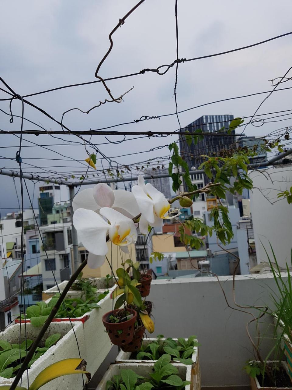 Urban House Saigon 2 * Ho Chi Minh City