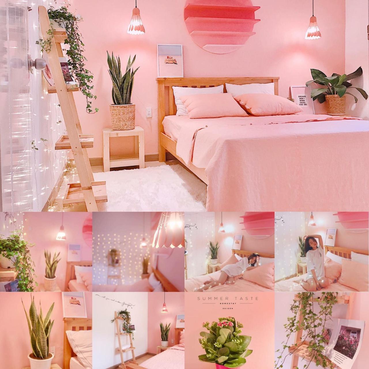 Summer Taste Homestay Homestay