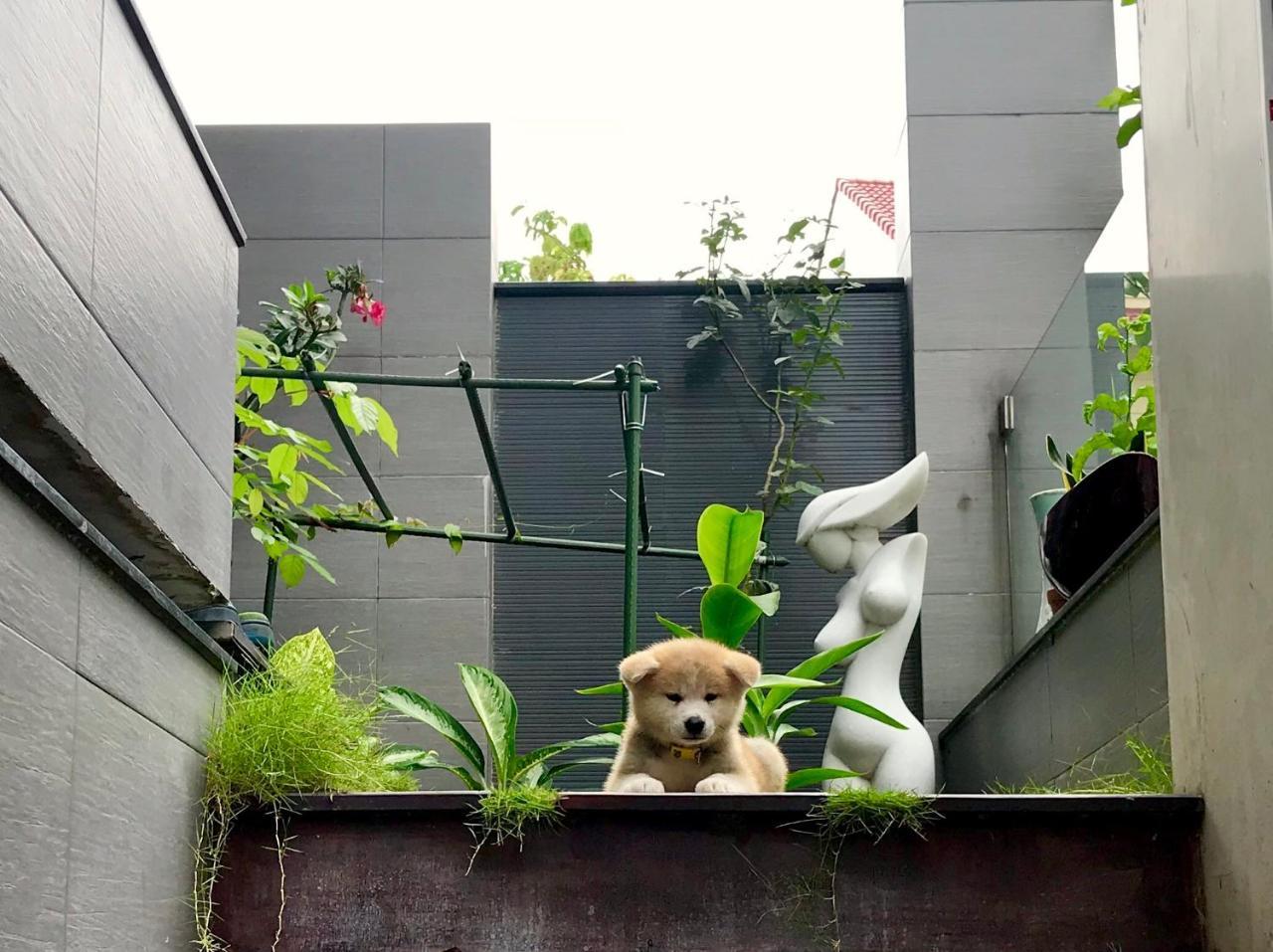 Biệt Thự Greenwood Sài Gòn Biệt thự *