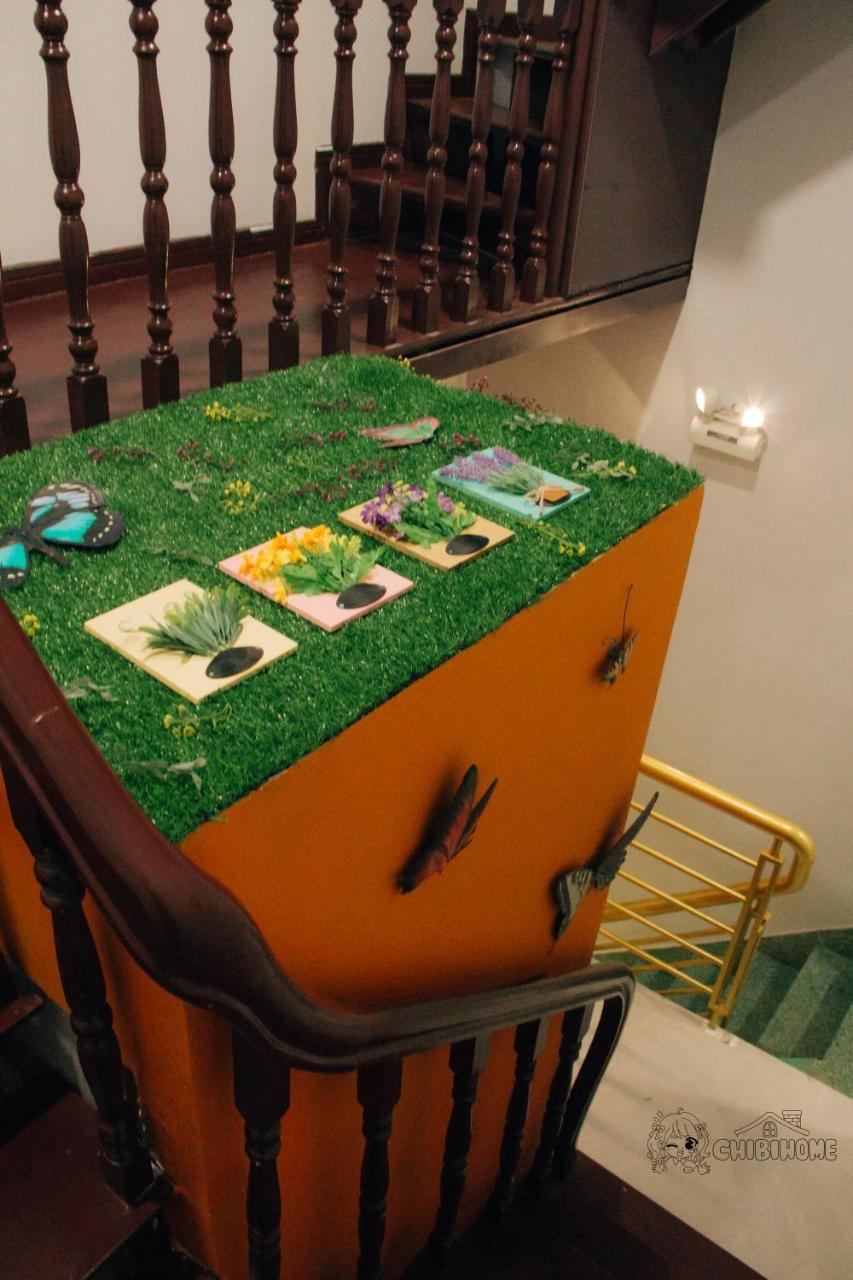 Chibi Guest house