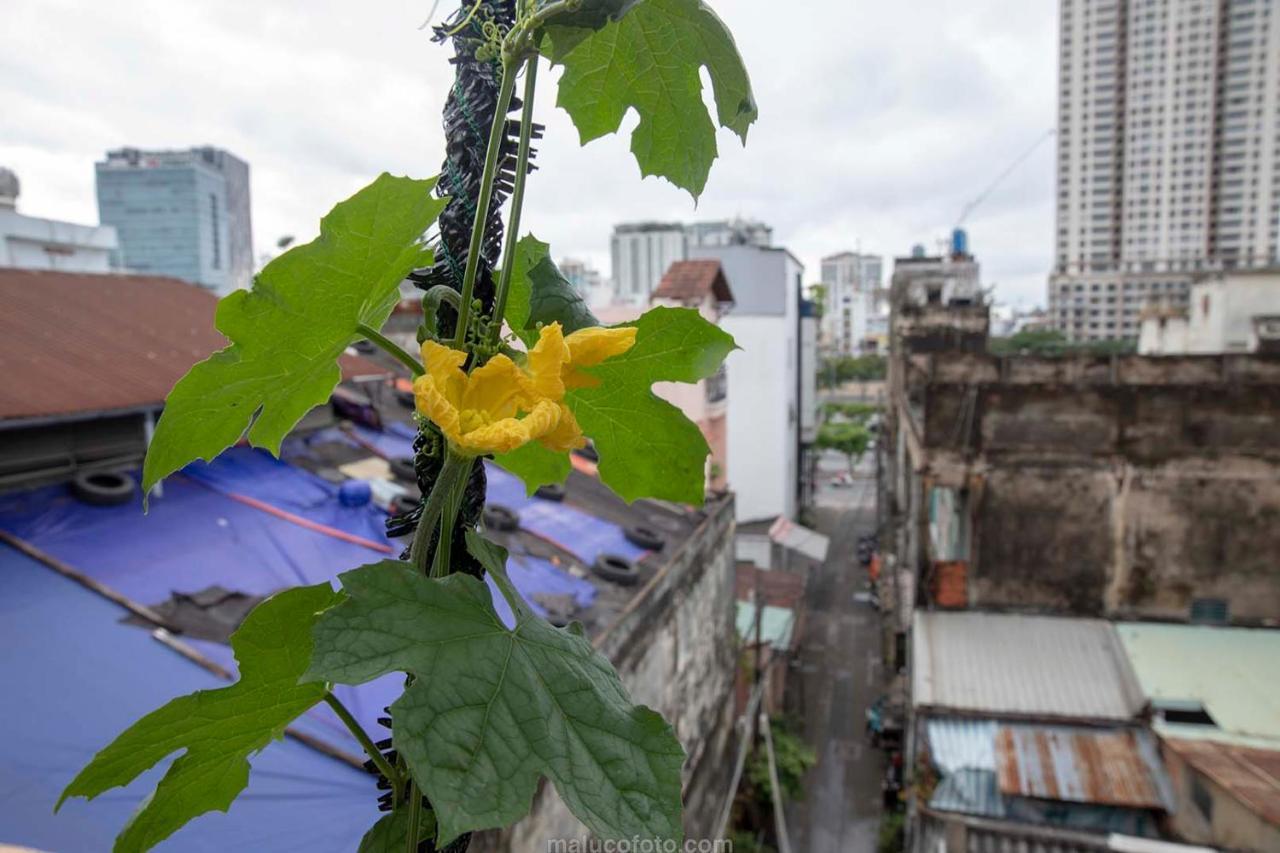 Saigon Hostel Ho Chi Minh City