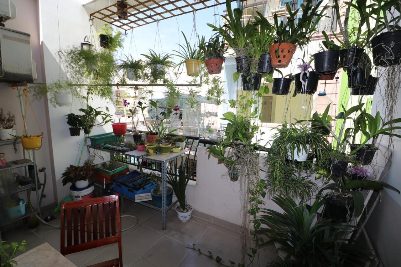 Grandma's Orchid Homestay