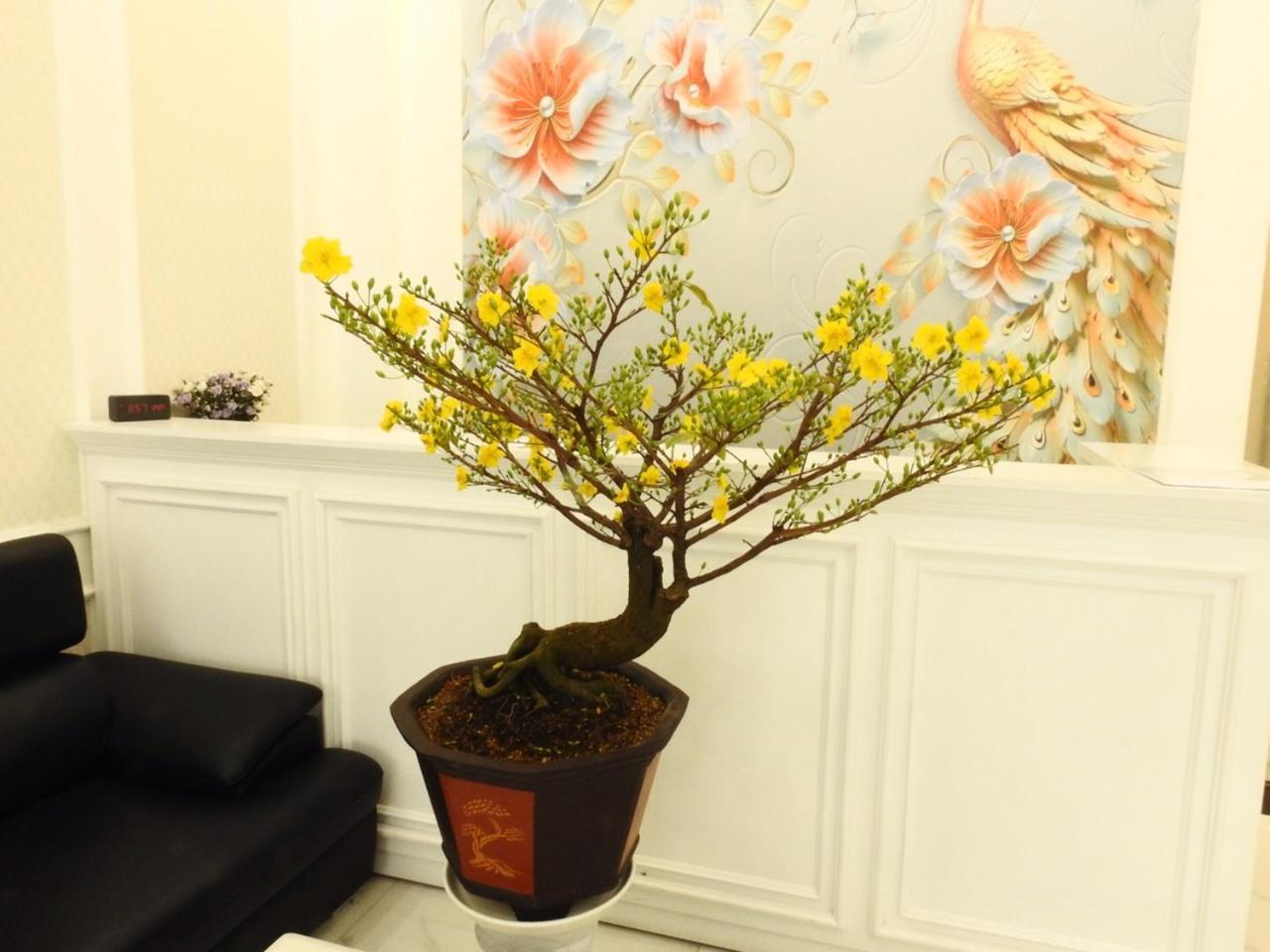 Daisy * Ho Chi Minh City