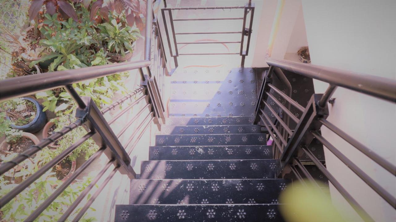 P.i.p Ho Chi Minh City