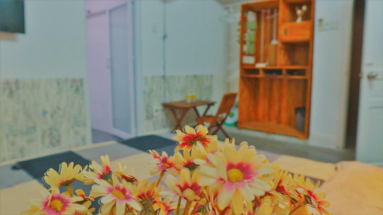 P.i.p Homestay