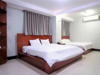 Hotel An Dong Center Chinatown Saigon 3*