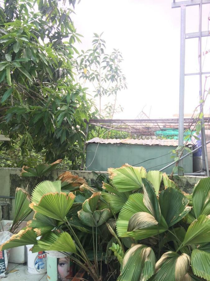 House Binhthanh