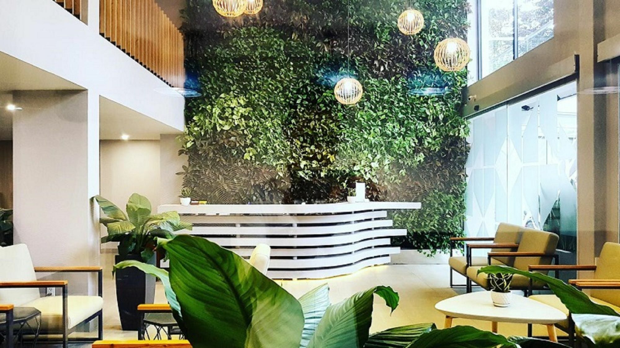 Royal Dragon Boutique Tan Binh 3* Ho Chi Minh City