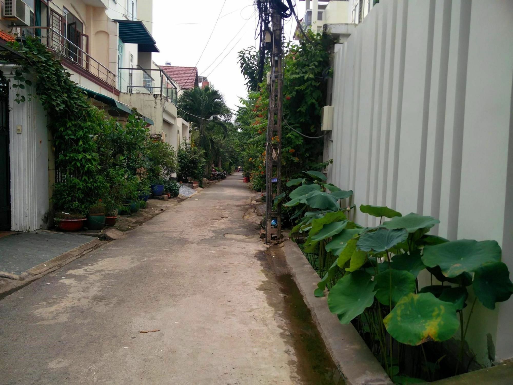 Sen Boutique House * Ho Chi Minh City