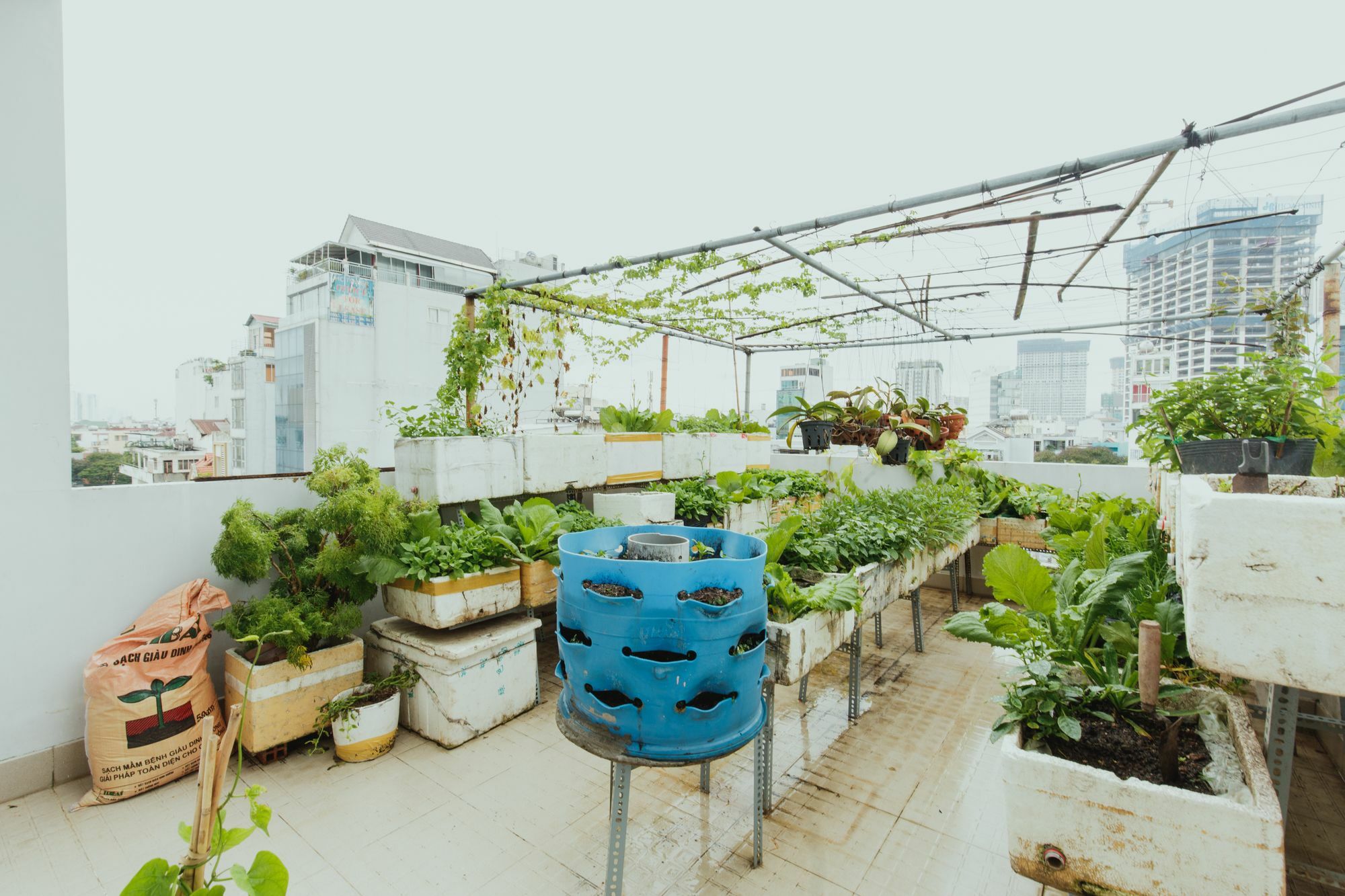 Urban House Saigon 2 Homestay *