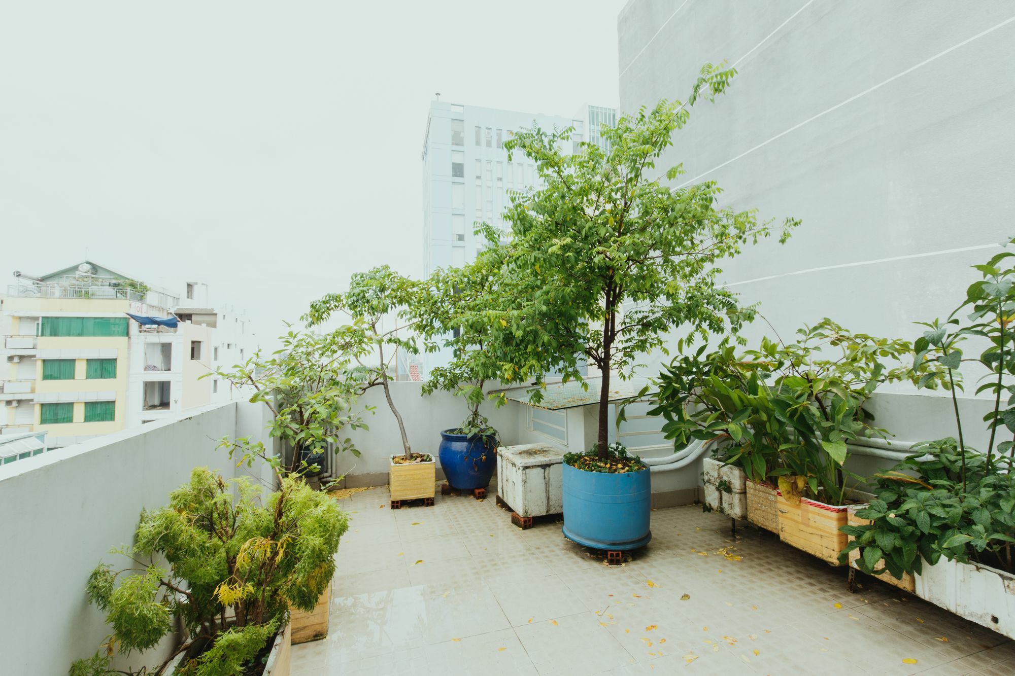 Homestay Urban House Saigon 2 *