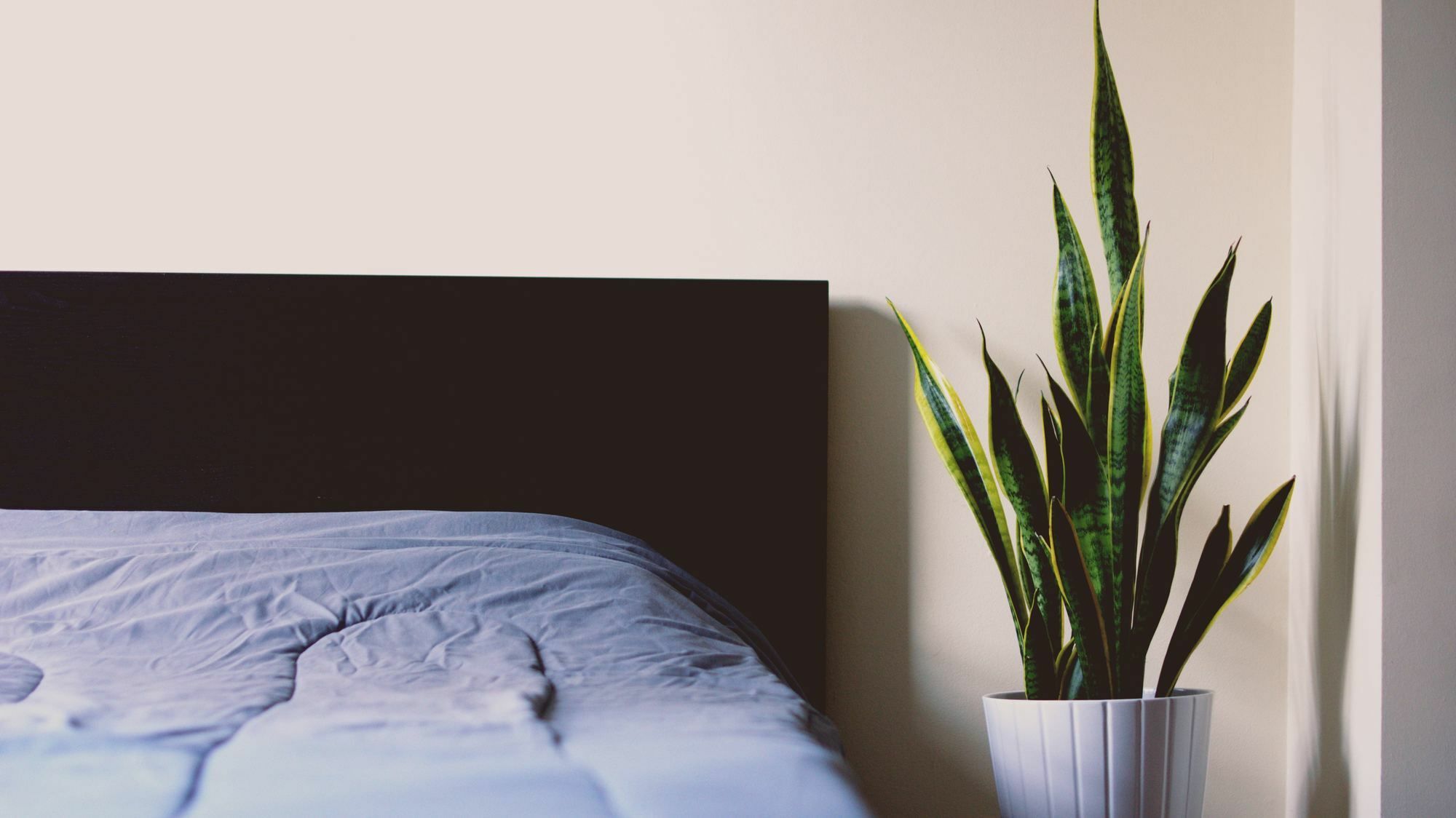 Apartmentel - Masteri Thao Dien Ho Chi Minh City
