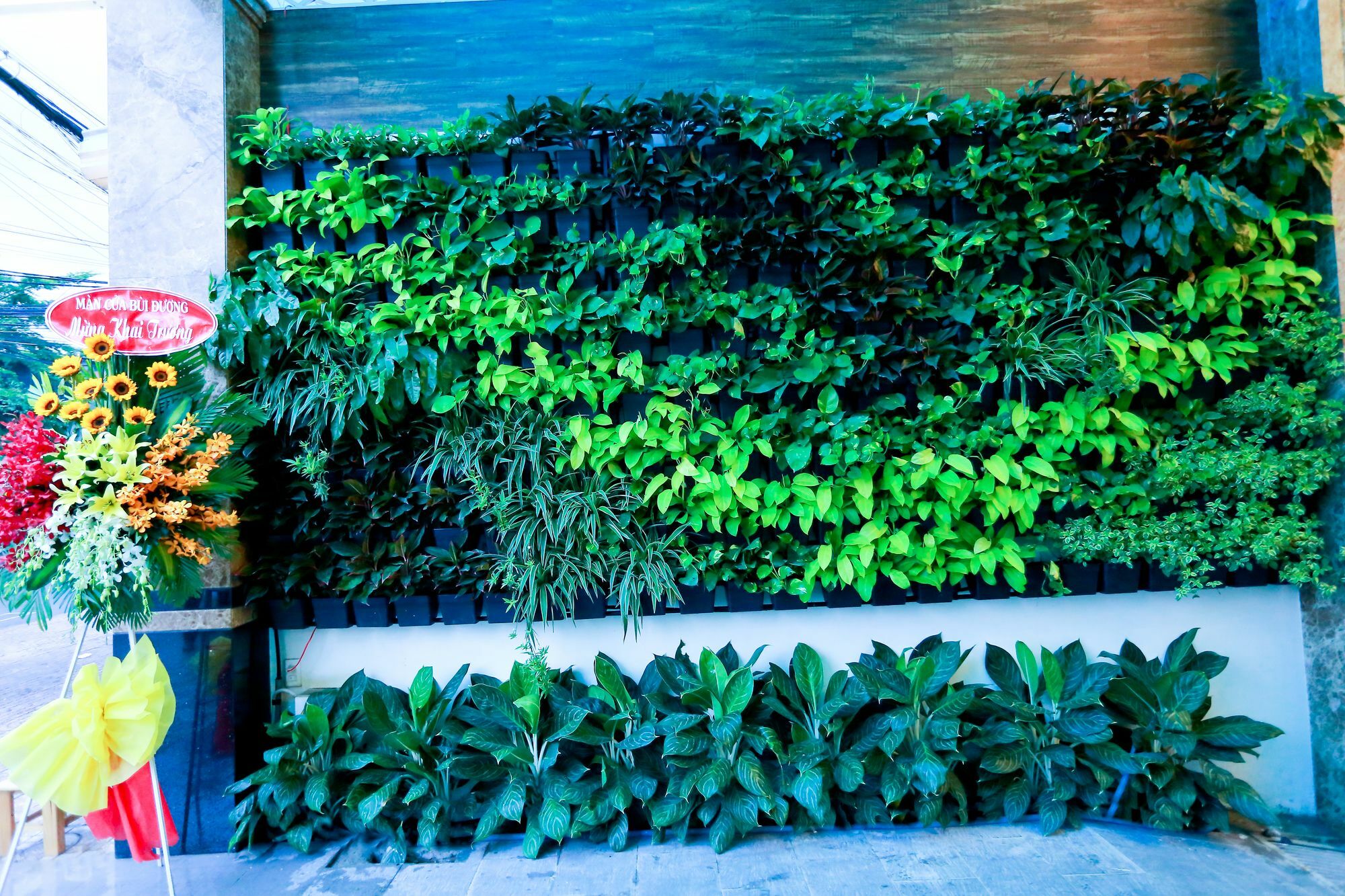 Vivian Saigon Hotel Ho Chi Minh City