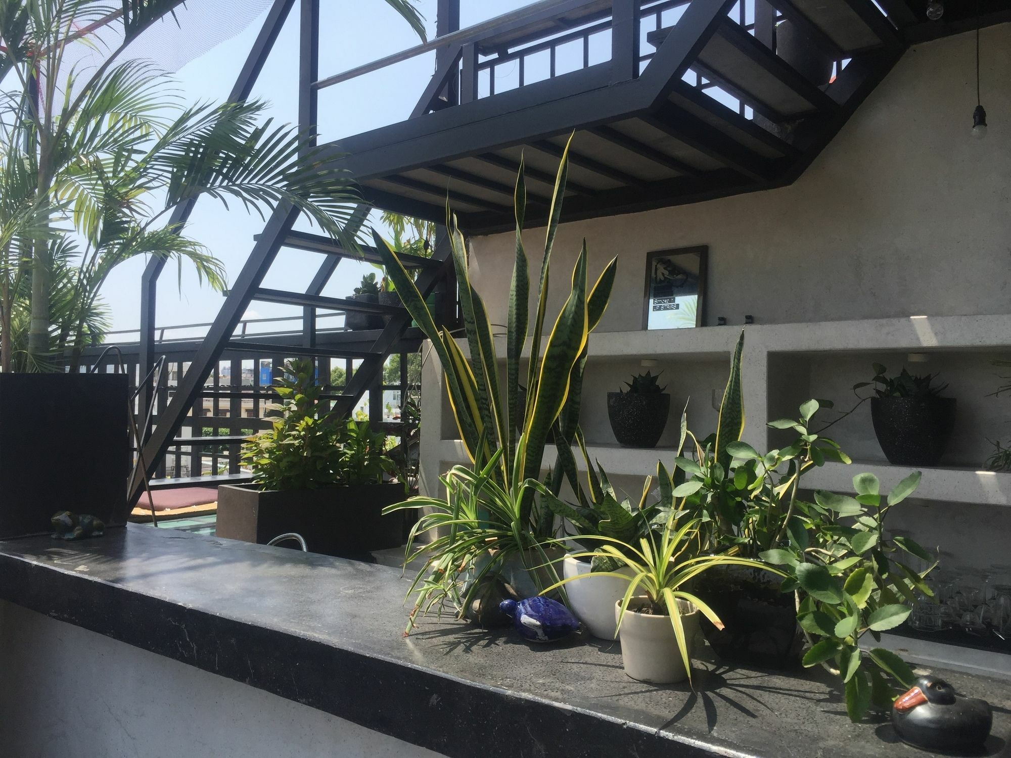 The Common Project Hostel *