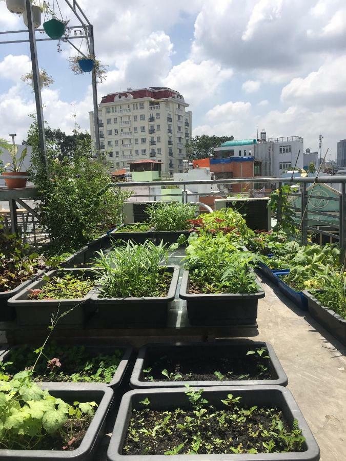 Hello Saigon 2*