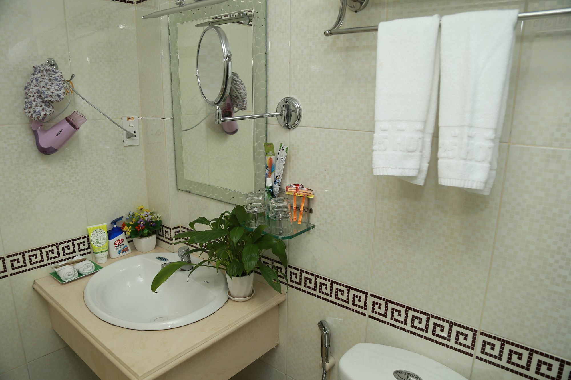 A25 - 19 Bui Thi Xuan Hotel