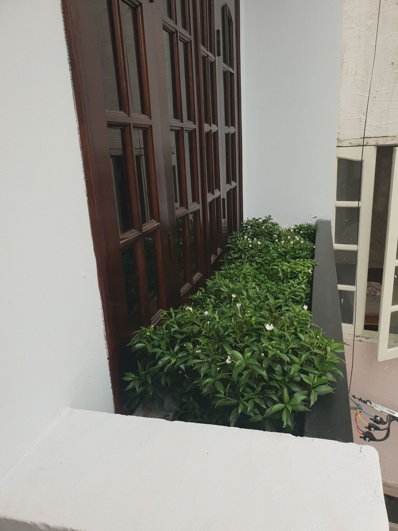 Thai Anh House - The Airport Bandar Ho Chi Minh