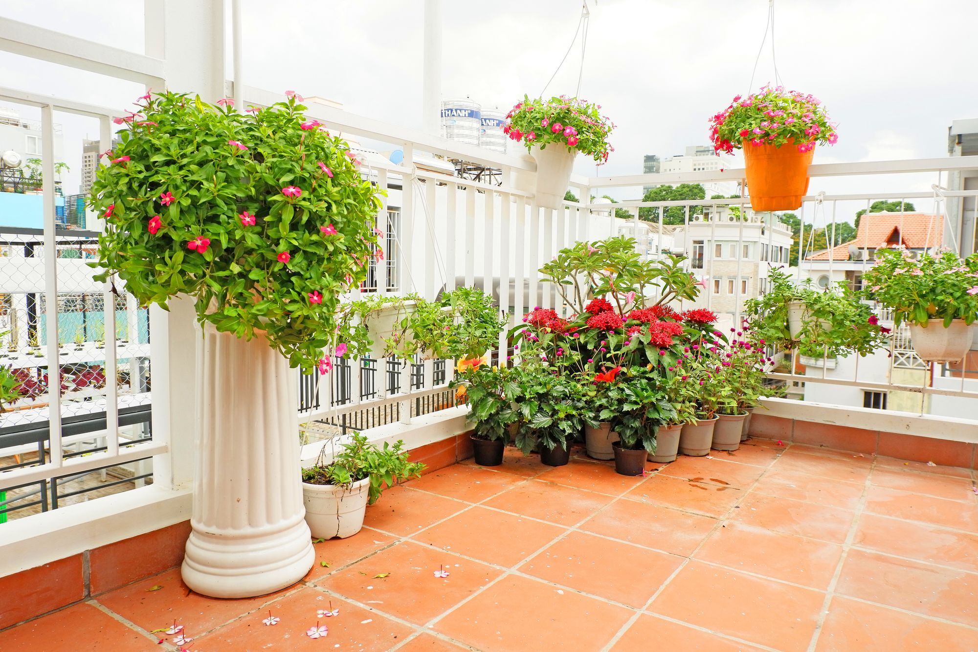 Saigon Corner House *
