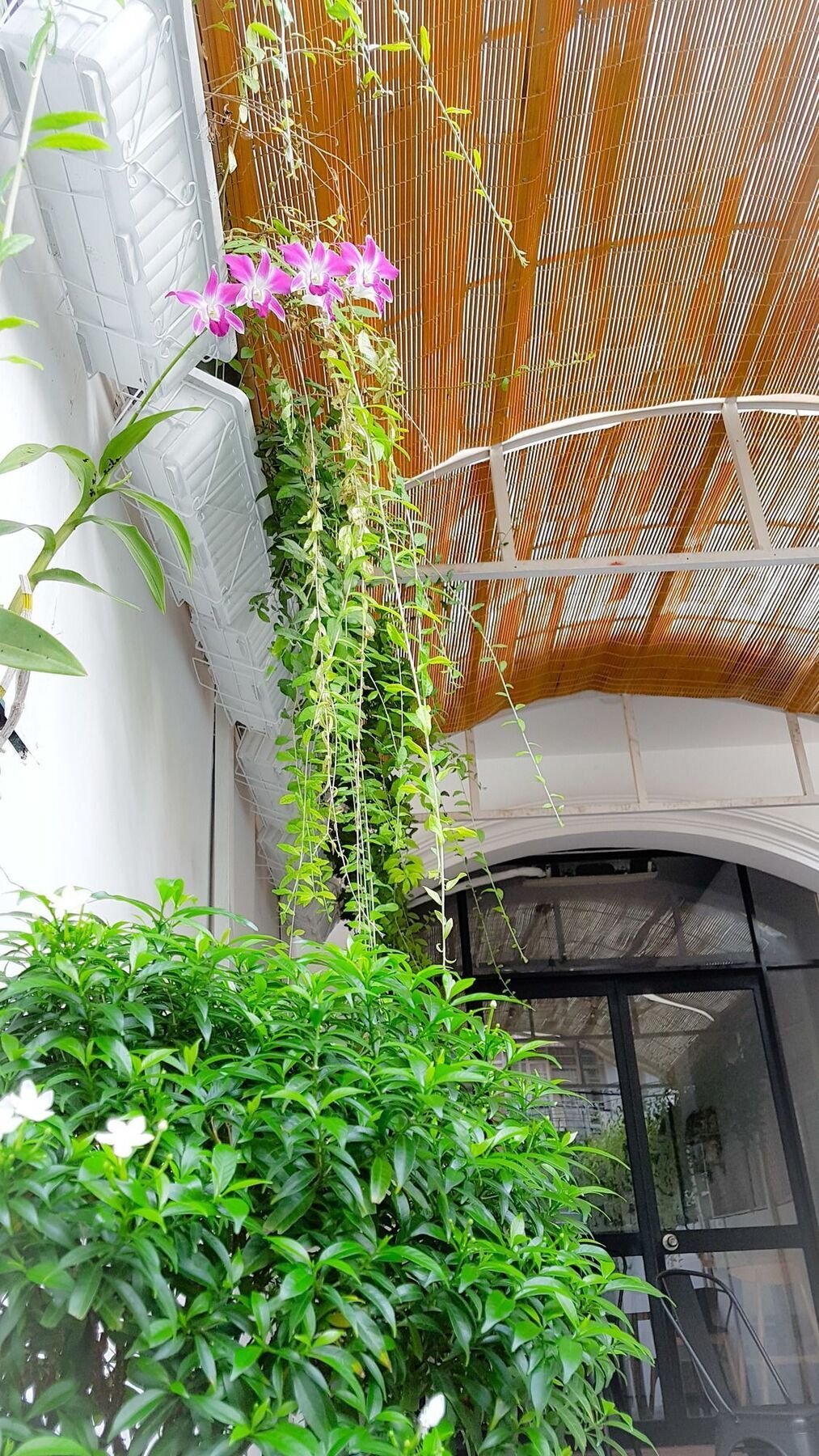 Hotel Holo Fairy House Saigon - Adult Only