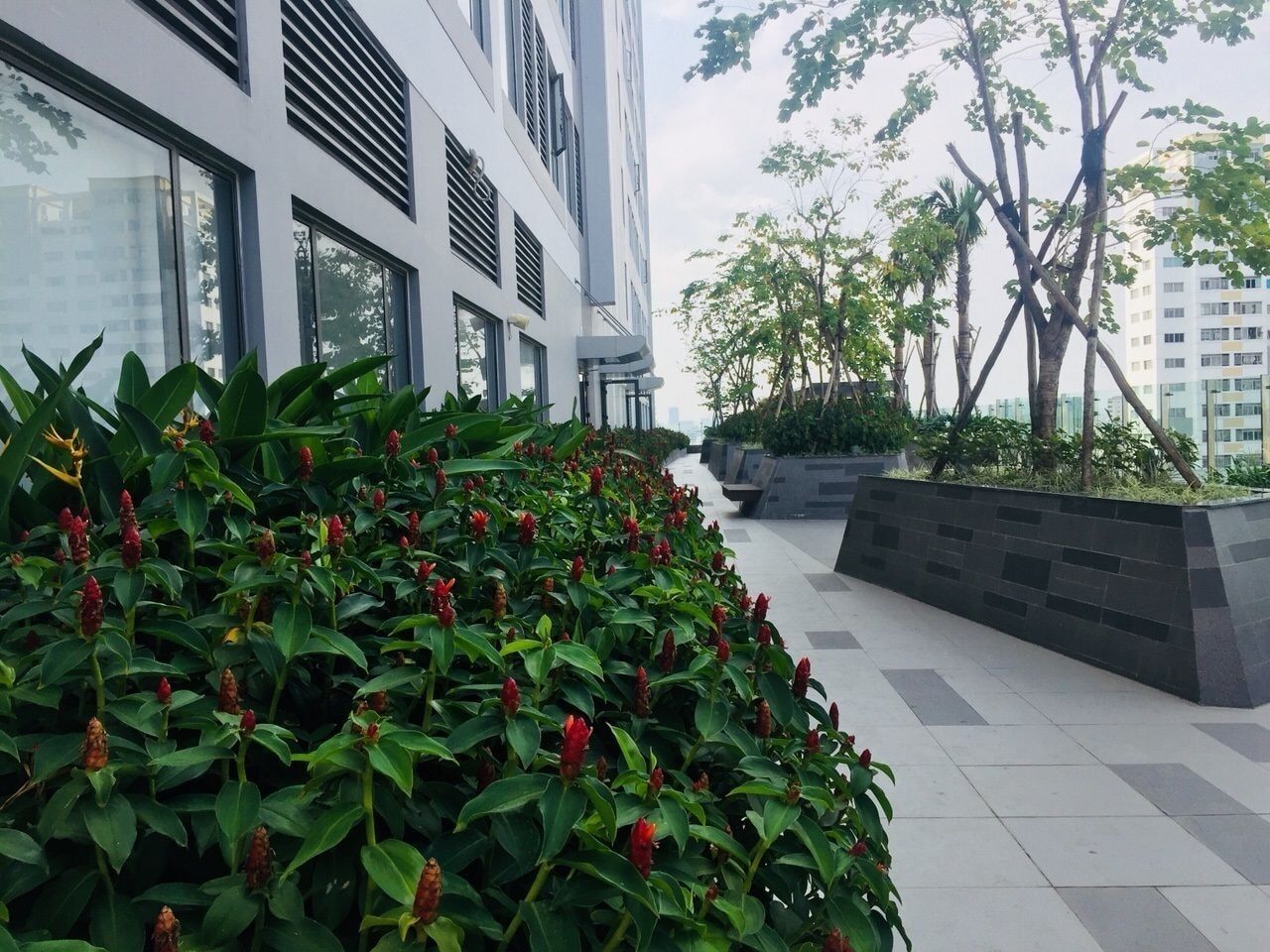 Apartment Andinh *