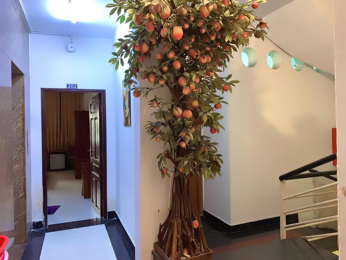 Hotel Tran Bui *