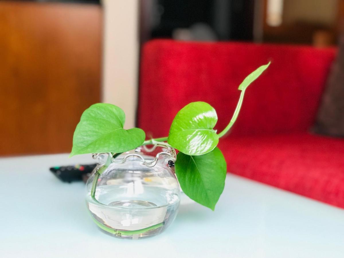 Lila Luxury And 3* Ho Chi Minh City