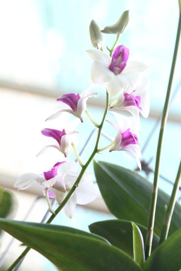 Nature House Ho Chi Minh City