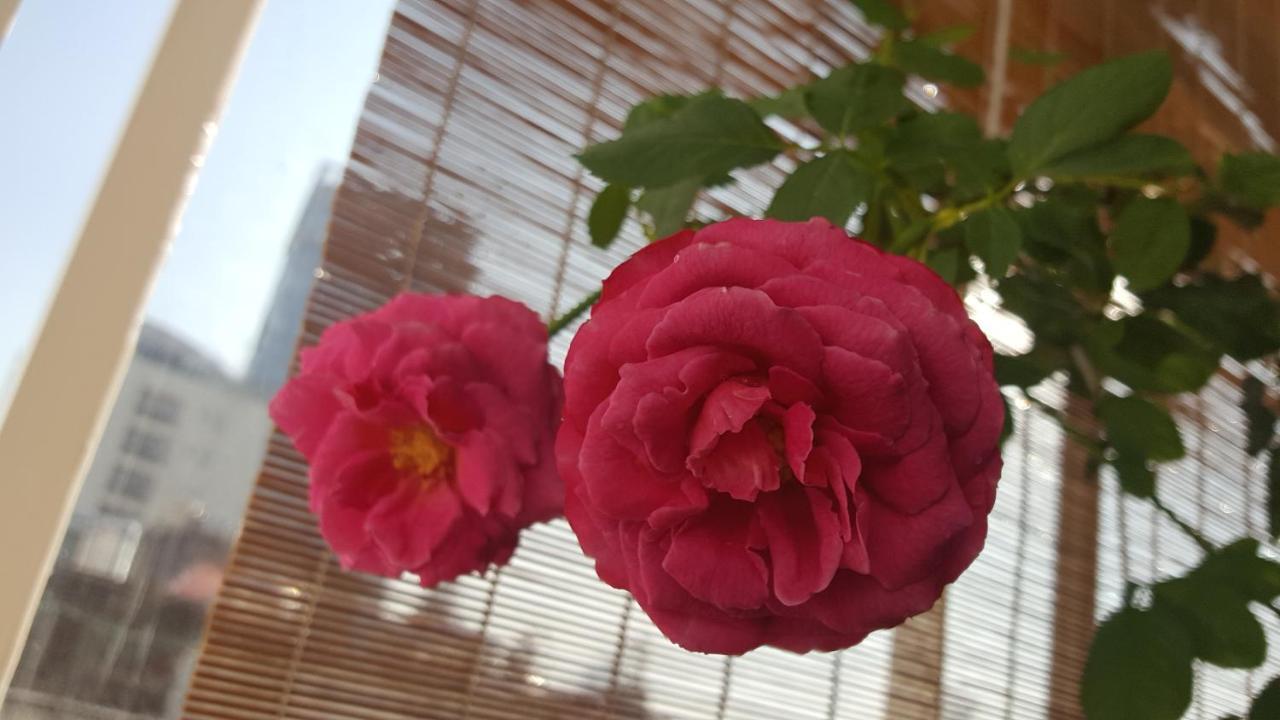 Apartment Mq House Ho Chi Minh City