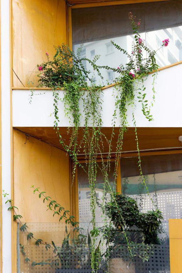 Hotel Cactusland Boutique Bandar Ho Chi Minh